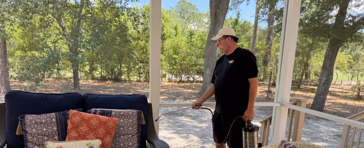 Roaches &amp; Palmetto Bugs