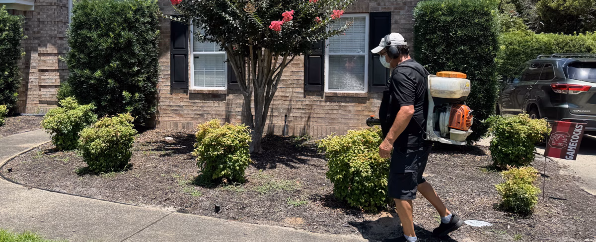 Pest Control Services